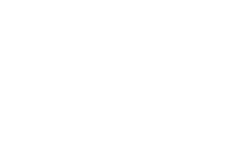 cnk logo