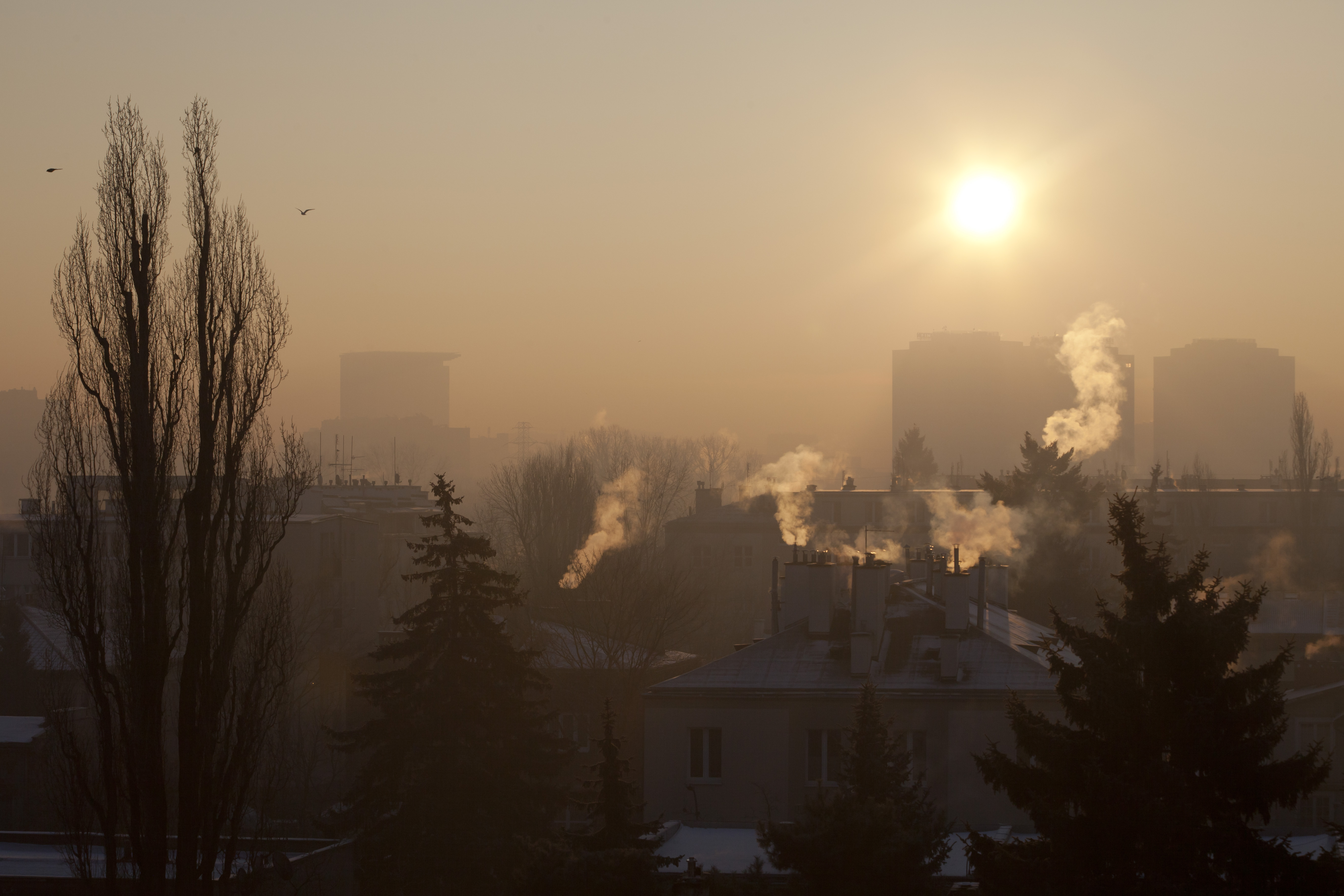 Państwo i artyści kontra smog